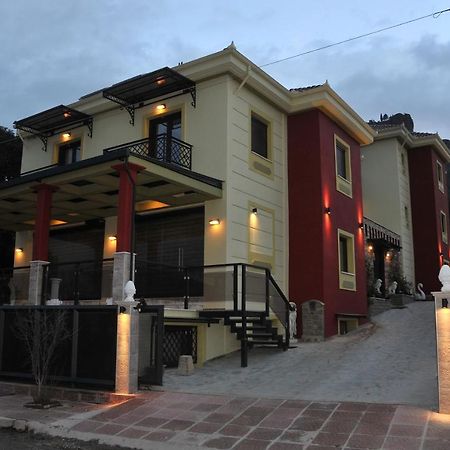 דירות קאלאבאקה Dominique Meteora House מראה חיצוני תמונה